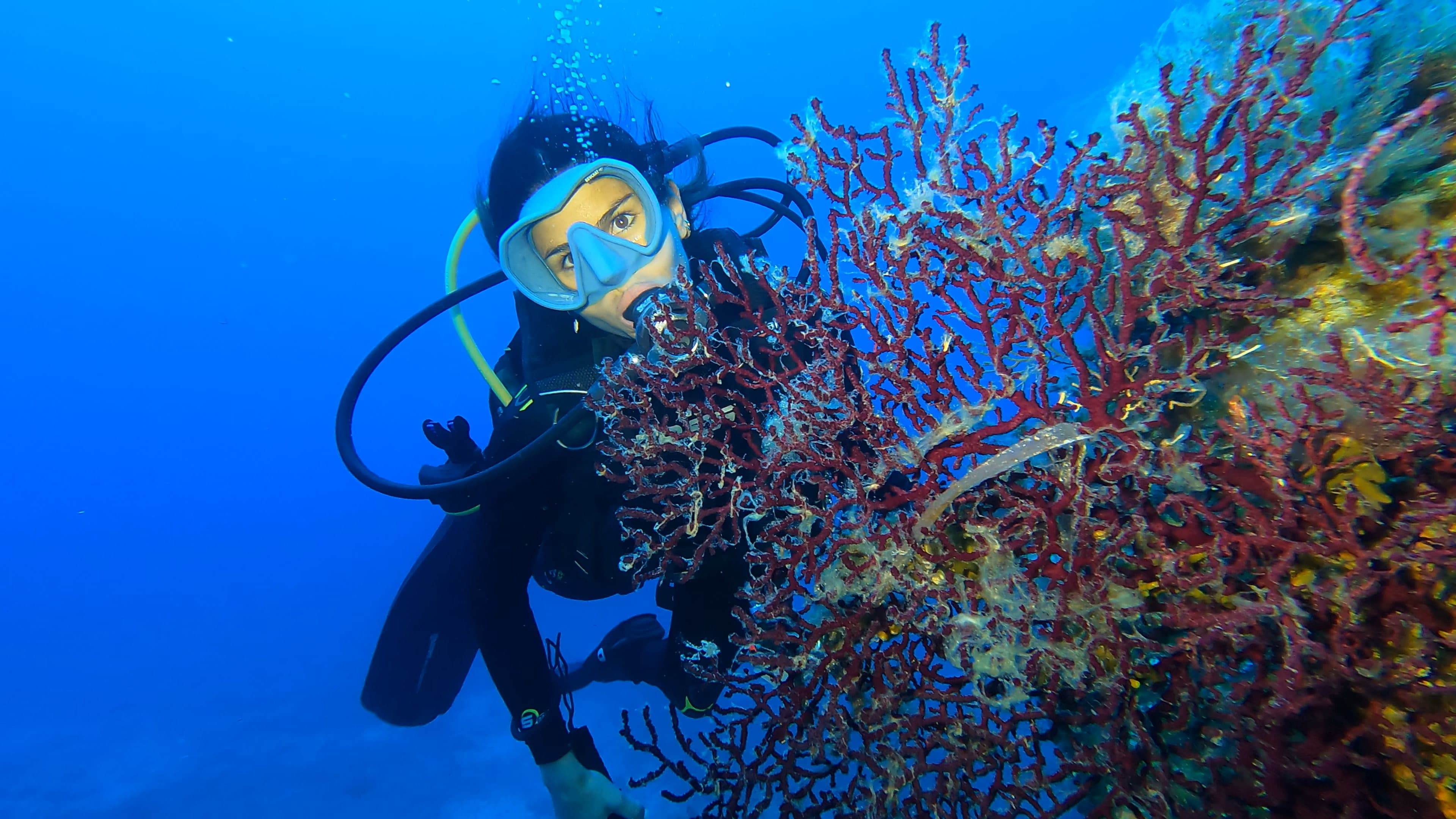 Sub con corallo rosso all'Isola d'Elba
