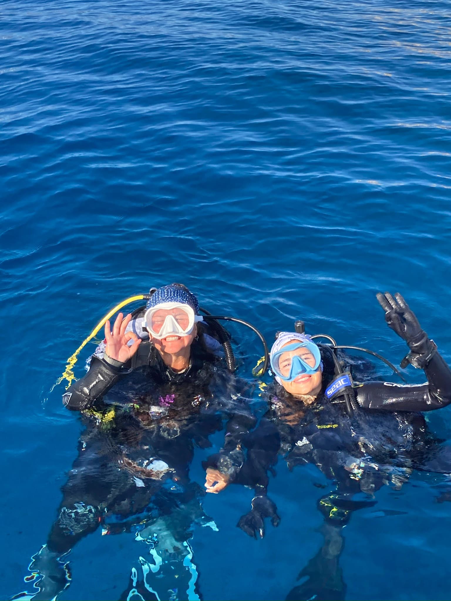 Elba diving experience 7