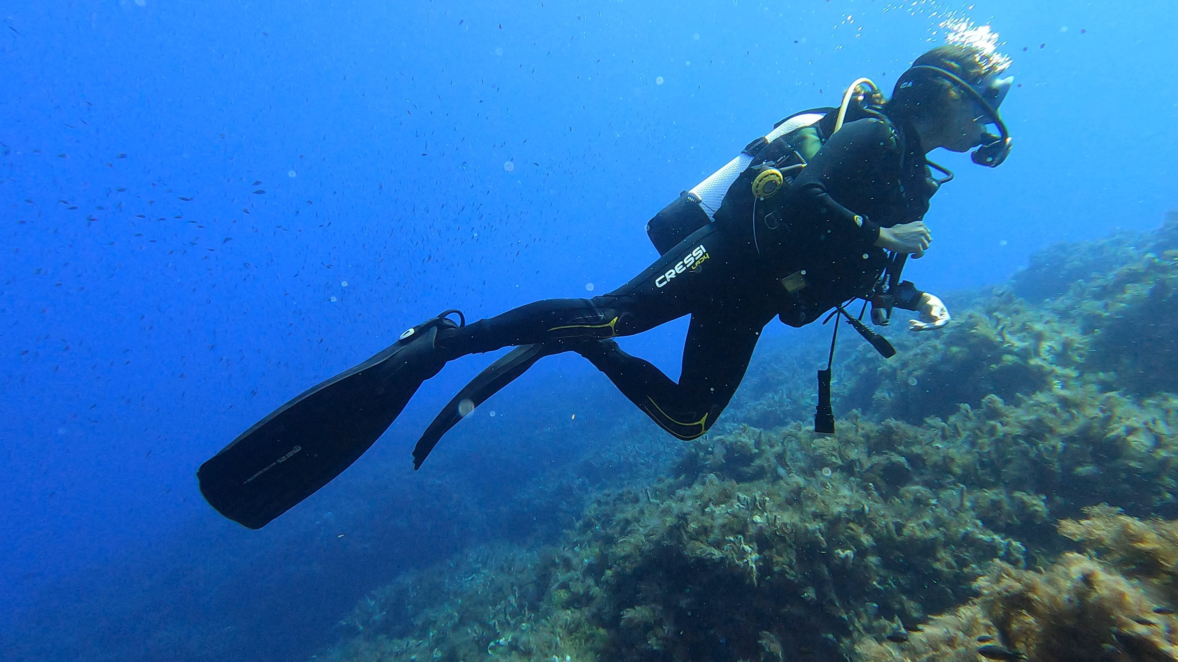 Elba diving experience 3