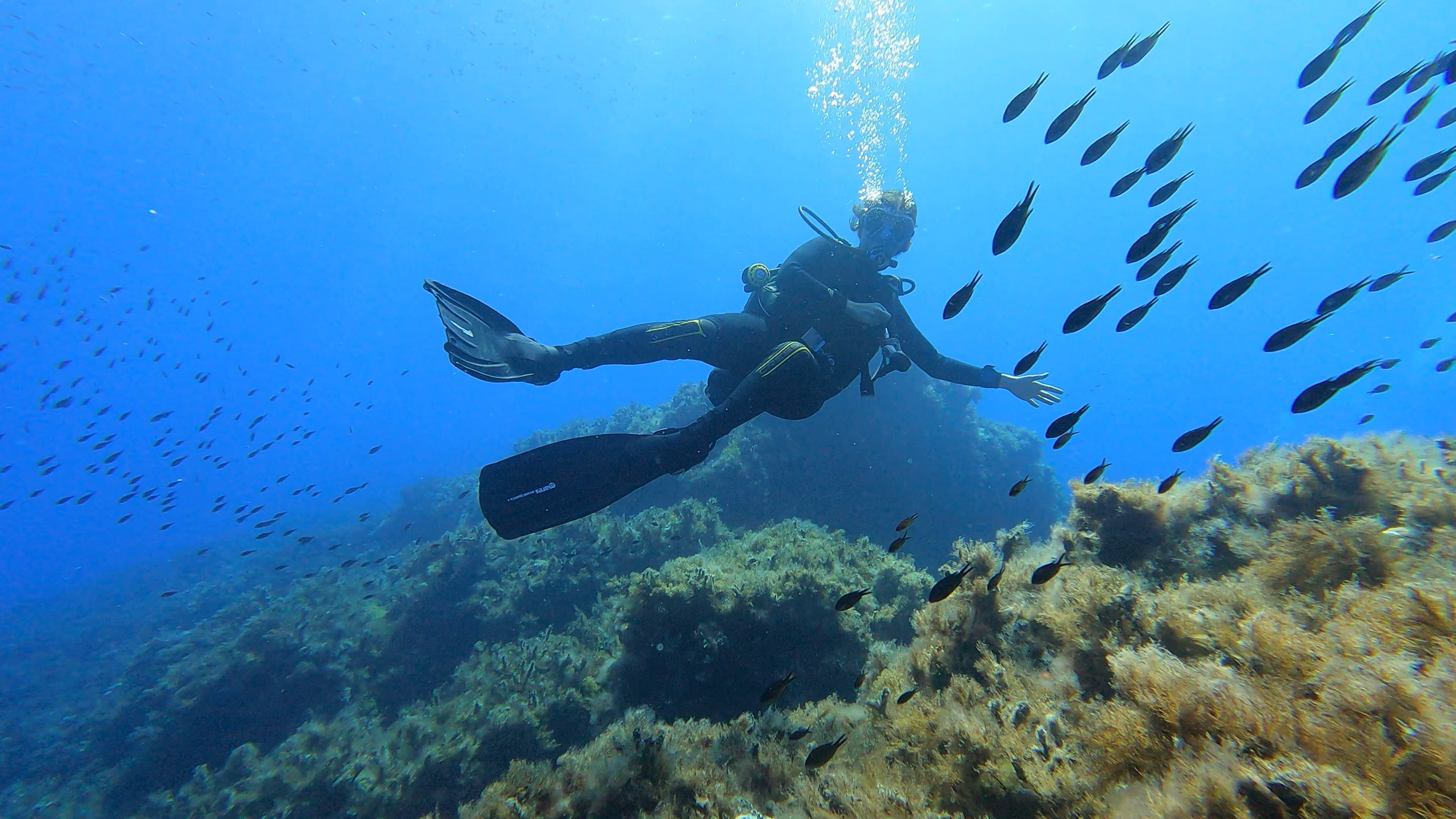 Elba diving experience 6