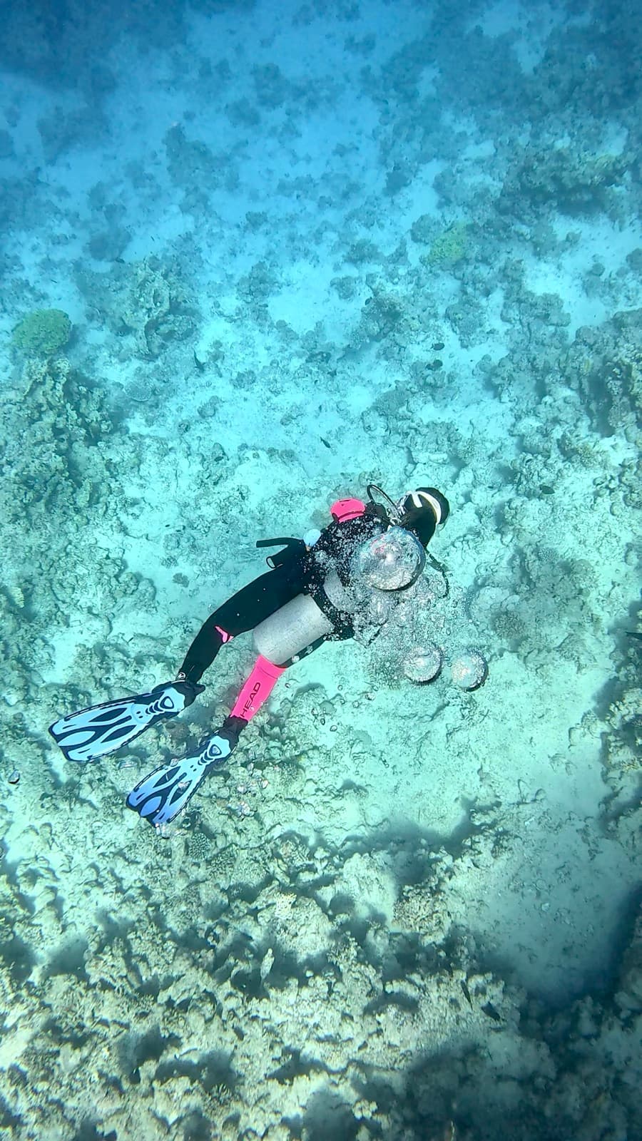 Ricordo del viaggio Bleen ad Argentario e Giannutri