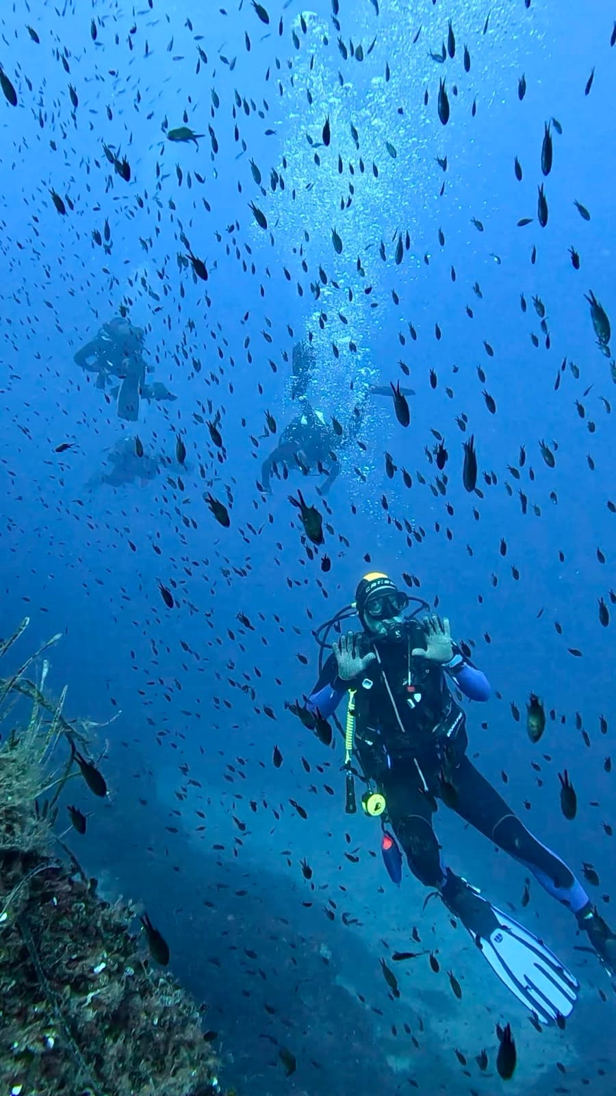 Ricordo del viaggio Bleen ad Argentario e Giannutri