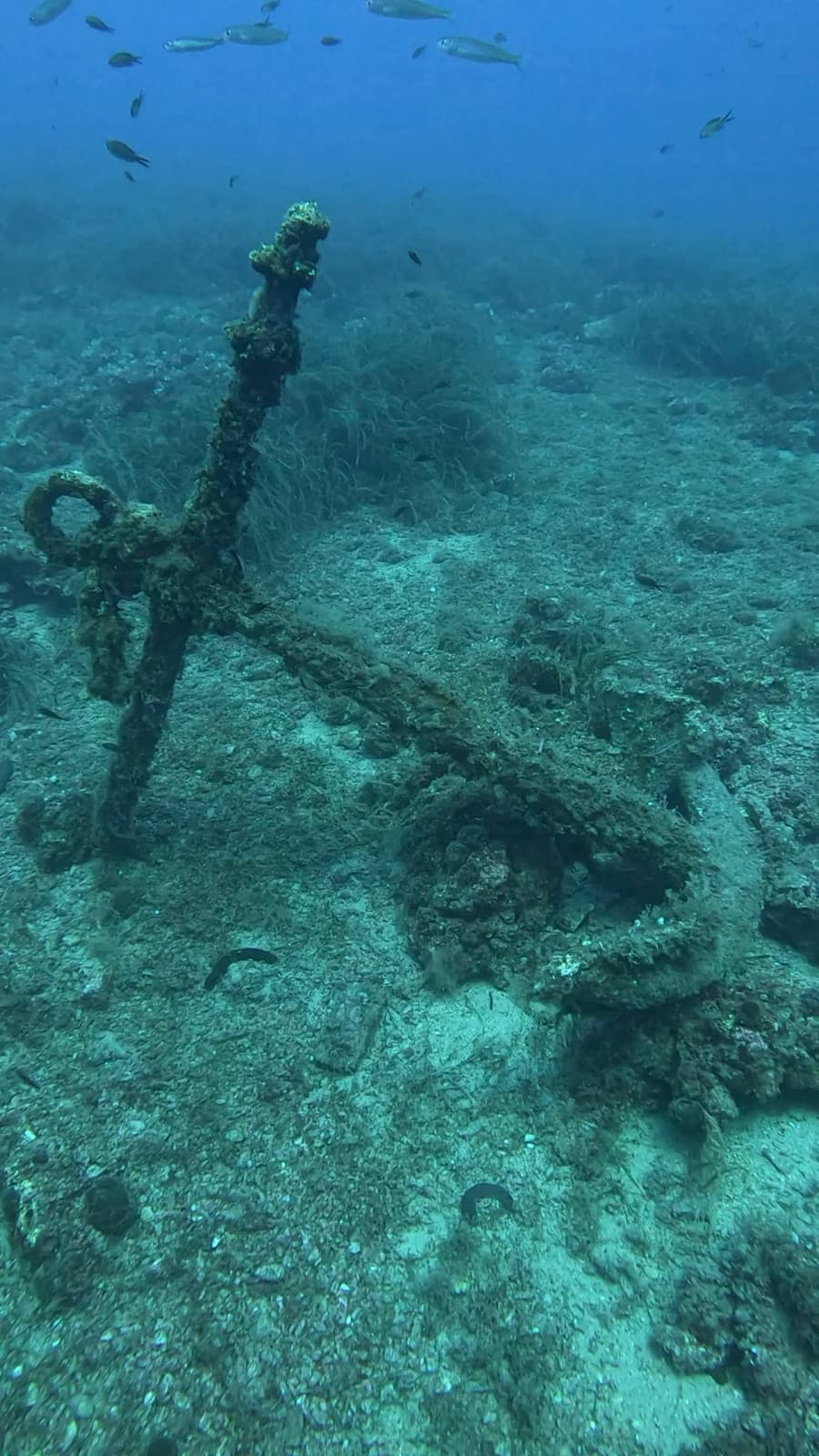 Ricordo del viaggio Bleen ad Argentario e Giannutri