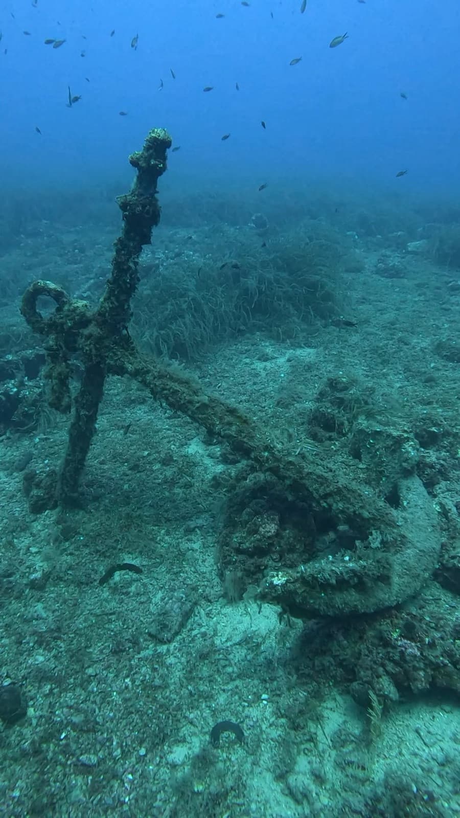 Ricordo del viaggio Bleen ad Argentario e Giannutri